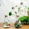 Lâmpada de vidro pendurado lâmpada de lâmpada flor planta vaso vaso artificial planta recipiente interior escritório decoração de casamento presente