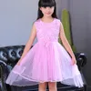 Summer Net Yarn Dresses for Girls New 2021 Korean Version ärmlös Tutu Round Neck Princess Kjol Casual Children039s Clothin1609938