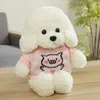 Teddy Dog Peluche Animali di peluche Grande peluche Kawaii Cuscini per il corpo Baby Accompagna bambole Regali di compleanno per bambini Giocattoli adorabili Q07274968142