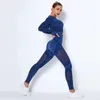 Kobiety Seamless Siłownia Zestawy Wysokiej Talii Siłownia Mesh Legginsy Koszule Koszule Długi Rękaw Fitness Trening Sporty Bieganie Cienkie Zestawy sportowe 210925