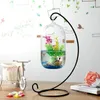 15 cm zawieszony przezroczysty wiszący szklany szklany wlew do infuzyjnej butelki Wazon roślin kwiatowych do dekoracji domowej akwariów 239Q