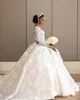 Princess Ball Gown Wedding Dresses V Neck 3D Appliques Hand Made Flower Feather Long Sleeve Bridal Gowns Puffy Illusion Bride Dress