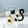 250ML Cute Cat Glass Juice Coffee Cup Milk Tea Mug Tail Handle Cat Valentine's Day Lover Gifts Stainless Spoon