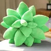 Sevimli 3D Succulents Kaktüs Yastık Yeşil Severler Bebek Bitki Yastıklar Bahçe Yatak Odası Odası Için Atmak Ev Dekorasyon Yenilik Peluş Yastık HH21-47
