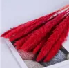 DIY Dried Small Pampas Grass decoration Flowers Pantas Artificiales Para Decoracion Real Plants Home Decor Wedding Decoration 60~70cm