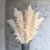 1-1.1m Grande Pampas Erba Soffice Secchezza naturale Bouquet da sposa Cerimonia di fiori secchi alti Decorazione moderna del giardino domestico Reed 220311