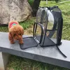 9 Renk Lüks Pet Taşıyıcı Yavru Küçük Köpek Cüzdan Kedi Tasarımcısı Valise Sling Çanta Su Geçirmez PREMIUM PVC Şeffaf Taşıma Çanta Açık Seyahat Kırmızı
