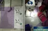 Hediye Paketi 50 adet Lavanta Poşet Çanta Boş Örgü Dikiş Şeffaf Keten Işın Cep Küçük Çiçek Kurutulmuş Çiçek Dolum Sachet1 Fabrika Fiyat Uzman Tasarım