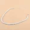 Blanda Bohemian Neck Choker Halsband för kvinnor Färgglada Rice Pärlor Halsband Nya Europeiska Amerikanska Smycken Partihandel