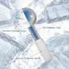 2PC 세트 얼음 얼음 글로브 냉각 마사지 얼굴 롤러 스테인레스 스틸 눈 주름 콜라겐 생산 및 다크 서클 건강 아름다움 도구