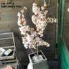 5st Dekorativt siden Cherry Blossom Artificial Flowers Wedding Decoration Sakura Fake Flower Centerpieces Decor258a1717272