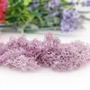 装飾的な花の花輪の花の花の素材人工植物の苔のムスカスミニガーデンマイクロ景観アクセサリーホーム結婚式の装飾