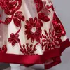 Baby meisjes kleding mode rode wijn borduurwerk bloem meisje jurk bruiloft slepen de vloer feestjurk 2018 nieuwe prinses jurken G1129