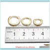 Orecchini Gioielliunisex Cz Cartilagine Orecchino ad anello Tragus Daith Conch Snug Hie Anello al naso Piercing all'orecchio Gioielli per il corpo 6/8 / 10Mm Drop Delivery 20