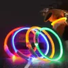 LED collier de chien de compagnie nuit sécurité lumineux colliers lumineux anneau de cou pour chiens chats chiot produits USB charge réglable