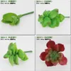 Оптом садовые украшения симуляция суккуленты искусственные цветы украшения мини зеленые растения украшения