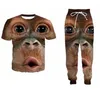 Atacado - 2022 Nova Moda Casual Big Monkey Face 3D Tudo sobre PRINT TRACKSUITS T-shirt + corredores calças terno mulheres homens @ 031