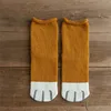 Chaussettes en coton pour femmes, série de motifs de dessin animé patte de chat, Style drôle et mignon, cadeau de noël pour femmes, nouvelle collection automne hiver