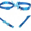 Dog Collars & Leashes Cat For Small Pet Quick-release Collar Adjustable Necklace Blue Nylon Puppy Chihuahua MP0042