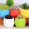 Coloré Mini rond en plastique plante Pots de fleurs jardinières jardin maison bureau décor planteur bureau Pot multi couleur options RH4321