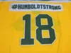 Personalizado CCM Humboldt Broncos # humboldtstrong 18 Hockey Jersey Vintage # 20 SCHATZ Ed Bordado Qualquer Nome Número S-5XL