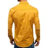 남자 캐주얼 셔츠 남자 2022 매일 야외 옥외 회전 칼라 포켓 버튼 셔츠 플러스 크기 작품 기본 탑 남자 스프링 가을 솔리드