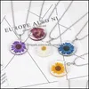 Hängsmycke Halsband Hängsmycken Smycken Naturlig Torkad Blomma För Kvinnor Transparent Resin Real Dry Round Gift Drop Leverans 2021 L8ZE0