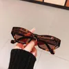 Mode liten kattögon kvinnor solglasögon vintage gelé te eyewear män trendande svart ljus grå solglasögon nyanser UV400