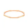 Bangle Designer Armband Man Vrouw Armbanden Kettingen Modemerk Armbanden Sieraden Rose goud Sliver Gold Color305Y