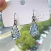 Dangle lustre vraie plante bleu oubliez-moi pas fleur sèche goutte d'eau en relief pendentif boucles d'oreilles mode femme oreille bijoux Acces2594981