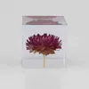 Reçine Gül Daisy Cube Karahindiba Kristal Cam Kağıt Ağırlığı Gerçek Doğal Bitki Örneği Feng Feng SHUI KULLANICILIK HEDİYE AHŞAP KUTU 212342892