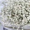 Gypsophila Bebek Nefes Milyon Yıldızlar Doğal Kurutulmuş Çiçekler Bitki Korunmuş Ev Düğün Noel Yeni Yıl Dekorasyonu Özelleştirilmiş222a