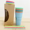 Starbucks Thermochromic Drinkware 컵 냉간 변경 가능한 플라스틱 색상 변경 밀짚 PP 재료 컵 항목