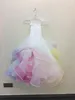 Korte Empire Taille Mirror Organza Rainbow Girls Pageant Jurken met 4 Multi Gekleurde Paardenhaar Braid Princess Flower Girl Dress Ruffle Rok