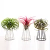 Smeedijzeren holle bloem pot simulatie ananas succulent planten staan ​​thuis accessoires kantoor decor metalen bloem vaas