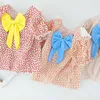Terno de verão top + shorts 2pcs bowknot decorativo impressão padrão menina roupas crianças roupas meninas 210528