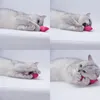 Moda mini denti denti macinazione catnip giocattoli divertente peluche interattivo gatto giocattolo pet gattino chewing vocale artigli thumb morso giocattoli