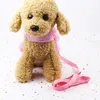 Dreidimensionale Blume Kleines Hundegeschirr Weste Leine Anzug Pitbull Welpengeschirr Beagle Haustierzubehör Katzen Produkte