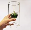 Titulares Clear Glass Oil Light Borosilicato Inclui Bliss Suspenso Hurricane Candle Holder Sleev 18cm /22cm