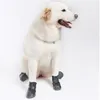 Vestuário para cães 4 peças sapatos para animais de estimação esportes ao ar livre protegem para não machucar cães modernos para grandes