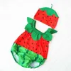 여름 아기 소년 수영복 2-PCS 만화 과일 딸기 파인애플 + 목욕 모자 수영복 어린이 옷 E5001 210610