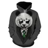 Panda Mannen/Vrouwen Lente Hooded Trekkoord Trui Jongens En Meisjes Leuke Mode Sportkleding Pocket Top Heren Hoodies Sweatshirts