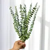 Dekorativa blommor kransar diy verklig naturlig eukalyptusblad torkad blomma bröllop dekorera stjälkar för hemprydnader grön dekor9251091