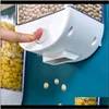Armazenamento Arrumação Organização Home GardenStorage Fácil Tipo de Imprensa Contêiner Cereal Dispensador de Parede Montado Caixa de Tanque Selado Caixa de Cozinha Suprimentos