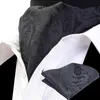 Rbocottメンズアスコットハンカチヴィンテージ高級クラシックペイズリーCravat Pocket Square Set Scrunch Self Wedding Suit