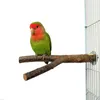 Pet Parrot Raw Wood Fork Stand Rack Toy 1Pcs 15cm Ramo Posatoi per uccelli Gabbia per criceti Accessori Forniture