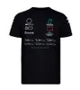 Heren T-shirts Zomerseizoen F1 Formule 1 Racing Sports Round T-shirt met korte mouwen met dezelfde aanpassing