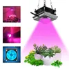 cob lead grow lights control full spectrum led 60W plant growth lamp indoor vegetable fleshy flower and hydroponic cultivation supplyment outdoor solar light