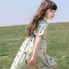 Meisjes jurk kinderen rok stijl westelijke prinses losse korte mouwen floral zomer p4544 210622