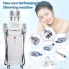 5 Cryo Heads Cryolipolysis 슬리밍 기계 더블 턱 제거 지방 냉동 2 RF 핸들 8 레이저 패드 아름다움 장비